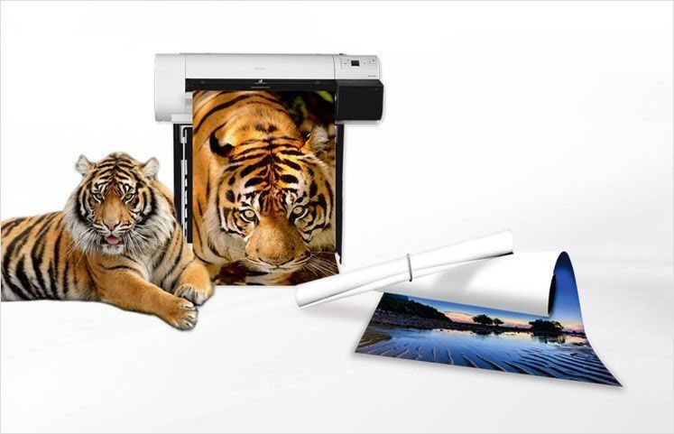 Ein Tiger ruht neben einem großen Drucker, der ein lebendiges Landschaftsbild produziert